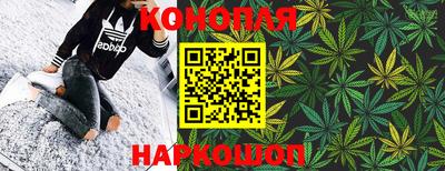 мет Кингисепп