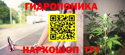 мет Кингисепп