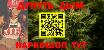 мет Кингисепп