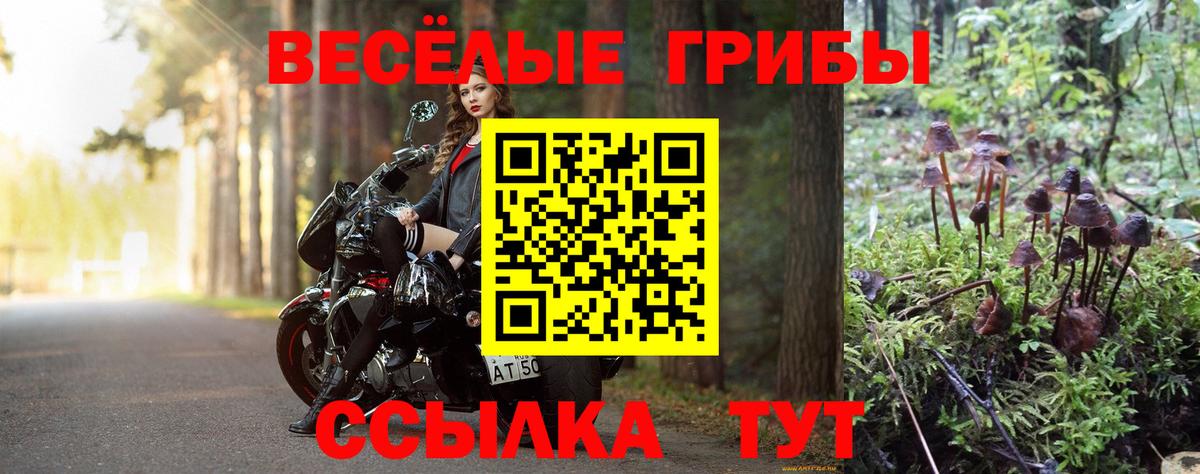 Псилоцибиновые грибы мухоморы Ялуторовск